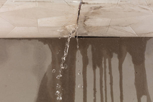 Professional Structural Drying technician working in Middletown, NY